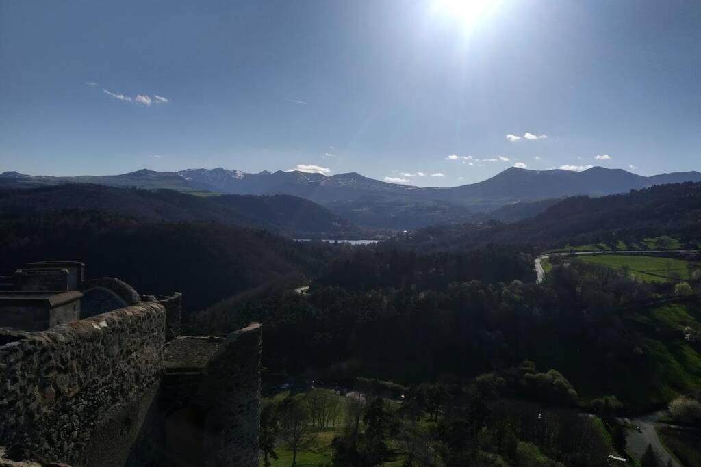 Studio Au Coeur Des Volcans D Auvergne - Мюроль Экстерьер фото
