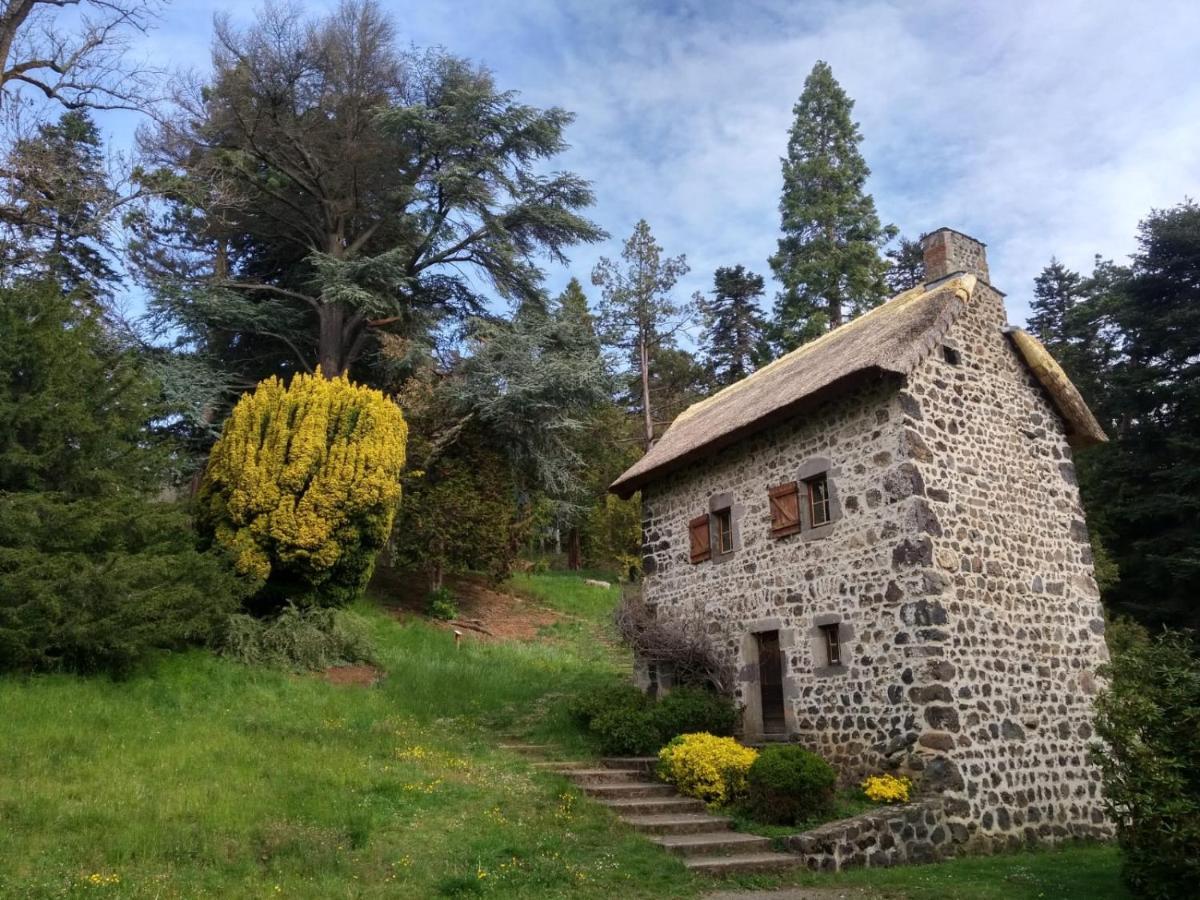 Studio Au Coeur Des Volcans D Auvergne - Мюроль Экстерьер фото